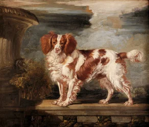 Portret van Dash, een favoriete spaniël, eigendom van Lady Frances Vane-Tempest
